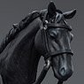 Dark Source-JiangHu War Horse (Black Ver.) (Completed)