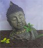 Abandoned Buddha in Jungle (Plastic model)