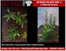 ジャングルの植物セット4 植物2種類入 (プラモデル)