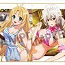 High School DxD Hero Trading Mini Colored Paper Vol.2 (Set of 10) (Anime Toy)