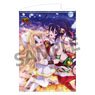 High School DxD Hero B2 Tapestry Vol.3 Akeno & Asia X`mas Ver. (Anime Toy)