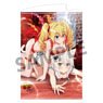 High School DxD Hero B2 Tapestry Vol.3 Koneko & Ravel Shinju Yugi B Ver. (Anime Toy)