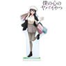 TV Animation [The Dangers in My Heart.] [Especially Illustrated] Anna Yamada Holiday Date Ver. Big Acrylic Stand (Anime Toy)