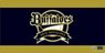 Bushiroad Rubber Mat Collection V2 Vol.1133 Pro Baseball Card Game Dream Order [ORIX Buffaloes] (Card Supplies)