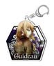 The Witch and the Beast Wet Color Series Acrylic Key Ring Guideau (Anime Toy)