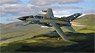 パナビア トルネード GR.1 ZD748/AK ジョニー ウォーカー `Still Going Strong` イギリス空軍第 9 飛行隊 1998 (完成品飛行機)