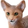 Abyssinian cat (Animal Figure)