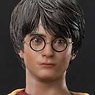 Prime Collectable Figure Harry Potter Harry Potter Quidditch (Completed)
