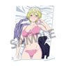 Chained Soldier [Especially Illustrated] Visual Acrylic Plate Tenka Izumo B (Anime Toy)