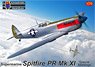 Spitfire PR.Mk.XI `Special Markings` (Plastic model)