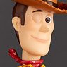 Revoltech Woody Ver.2.0 (Completed)