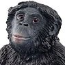 Bonobo (Female) (Animal Figure)