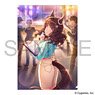 Uma Musume Pretty Derby Clear File Vol.17 [from the GROUND UP] Light Hello (Anime Toy)