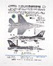 F-16CJ ワイルドウィーゼル 2022年 パシフィックデモチーム スペシャルテールスキームデカール (プラモデル)