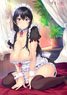 mdf an [Especially Illustrated] Dakikano Kiss Arisa Fukami A1 Tapestry Pattern B Type (Anime Toy)