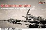 *Bargain Item* Sharkmouth Unit P-40 Warhawks of the 51st FG Over CBI (Decal)