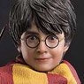 Prime Collectable Figure Harry Potter Harry Potter (Completed)