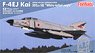 航空自衛隊 F-4EJ改 戦闘機 第302飛行隊 `オジロワシ` (プラモデル)