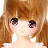 EX Cute Chiika / Sweet Memory Coordinate Doll Set -Honey Caramel Hair- (Fashion Doll)