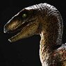 Prime Collectable Figure Jurassic Park Velociraptor Open Mouth (Completed)