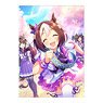 Uma Musume Pretty Derby Clear File Vol.18 [Watashitachi to Yume Tsukamimashou!] Special Week (Anime Toy)