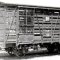 1/80(HO) J.N.R. Type PA100 Live Stock Car Kit (Unassembled Kit) (Model Train)
