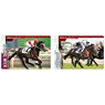 Thoroughbred Horse Collection Twin Wafer (Set of 20) (Shokugan)