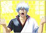 Gin Tama Clear File Surprise (Anime Toy)