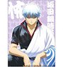 Gin Tama Clear File Fear (Anime Toy)