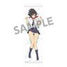 Senran Kagura Slim Tapestry Vol.2 Asuka A (Anime Toy)