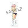 Senran Kagura Slim Tapestry Vol.2 Hibari B (Anime Toy)