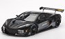 シボレー コルベット GT3.R ロードアメリカ 2023 テストカー (ミニカー)