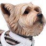 JXK Studio 1/6 Yorkshire Terrier A (Fashion Doll)