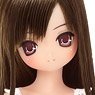 EX Cute Aika / Sweet Memory Coordinate Doll set -Chocolate Brown Hair- ver.1.1 (Fashion Doll)