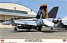 F/A-18E Super Hornet `VFA-151 Royal Maces CAG 2024` (Plastic model)
