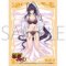Chara Sleeve Collection Mat Series [High School DxD Hero] Akeno Himejima (No.MT1872) (Card Sleeve)
