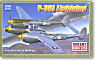 P-38J Lightning U.S. Army Air Forces Europe / The Pacific Ocean Front (Plastic model)