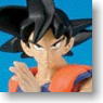 Super Warrior Taizen Kai Son Goku (PVC Figure)