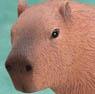 Dokidoki Animal Series : Capybara (Standing) (PVC Figure)