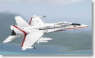 F/A-18 Hornet 米海軍 Test Pilot s (完成品飛行機)