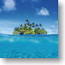 Broccoli Hybrid Sleeve [Floating island paradise] (Card Sleeve)