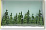 20 stick in firs 3-9cm : Acicular tree - Fir tree [3-9cm] (20 pieces) (Model Train)