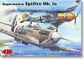 Supermarine Spitfire Mk.Ia (Plastic model)