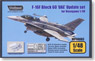 F-16F Block60 Desert Falcon United Arab Emirates Custom (Plastic model)