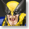 Wolverine -DANGER ROOM SESSIONS-