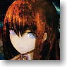 STEINS;GATE Tapestry (Anime Toy)