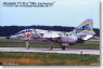 三菱T-2　第21飛行隊創設20周年記念塗装機　3機セット (プラモデル)