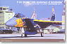 F-15J　第204飛行隊F15改変10周年記念塗装機　3機セット (プラモデル)