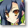 Character Sleeve Collection Platinum Grade Shin Koihime Muso -Moeshoden- [Kanu] (Card Sleeve)