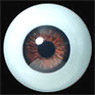 Glasstic Eye 20mm (Brown) (Fashion Doll)